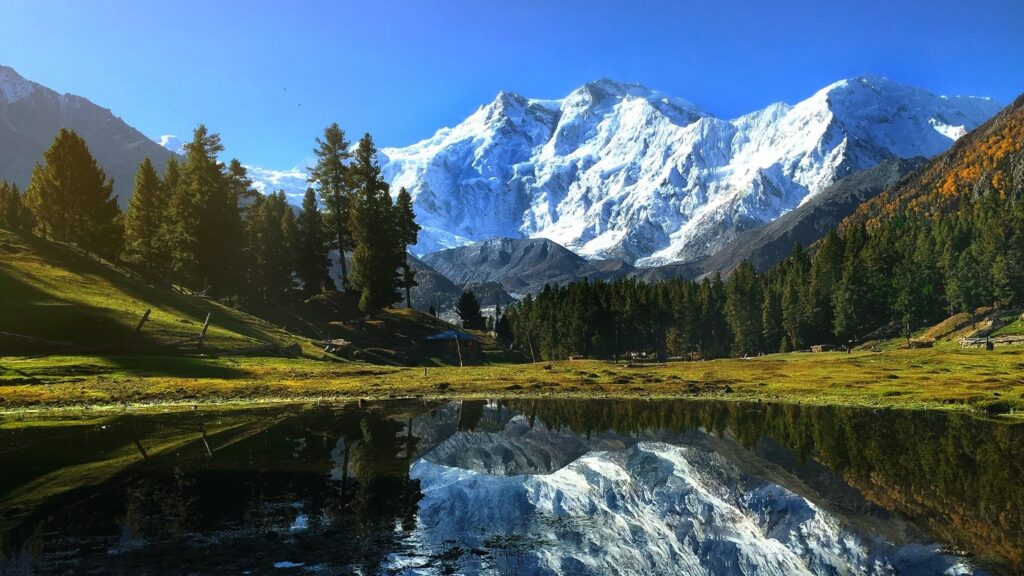 fairy meadows